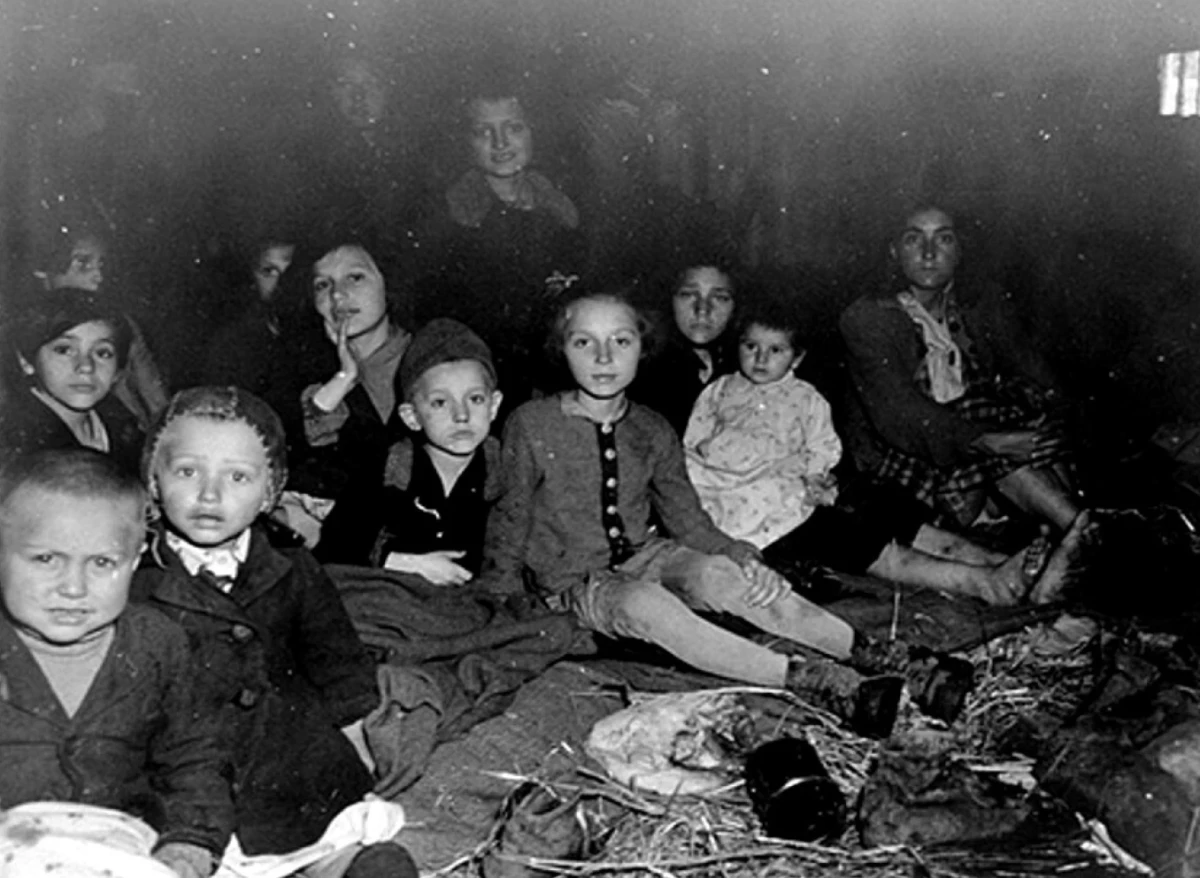 Home, Hohensinn Architektur