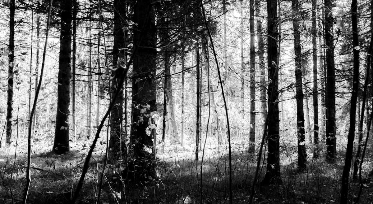 Home, Hohensinn Architektur