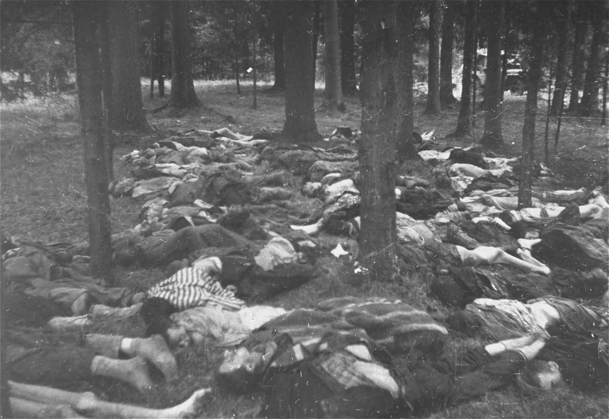 Leichen von KZ-Häftlingen im Wald am Areal des KZ Gunskirchen. Aufgenommen kurz nach der Befreiung