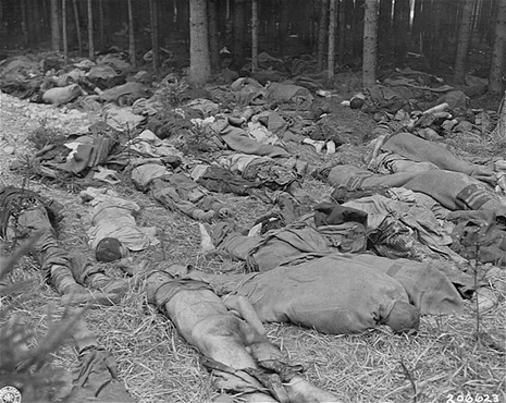 Leichen von KZ-Häftlingen im Wald am Areal des KZ Gunskirchen. Aufgenommen kurz nach der Befreiung