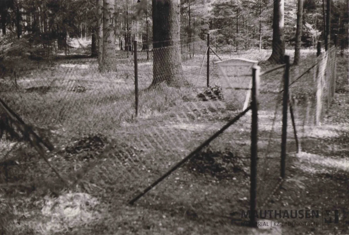 Gedenkstein an einem Massengrab in der Nähe des Areals des ehemaligen KZ-Außenlagers Gunskirchen