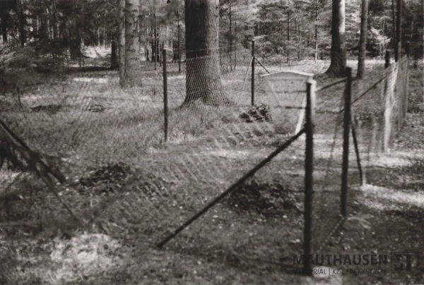 Gedenkstein an einem Massengrab in der Nähe des Areals des ehemaligen KZ-Außenlagers Gunskirchen