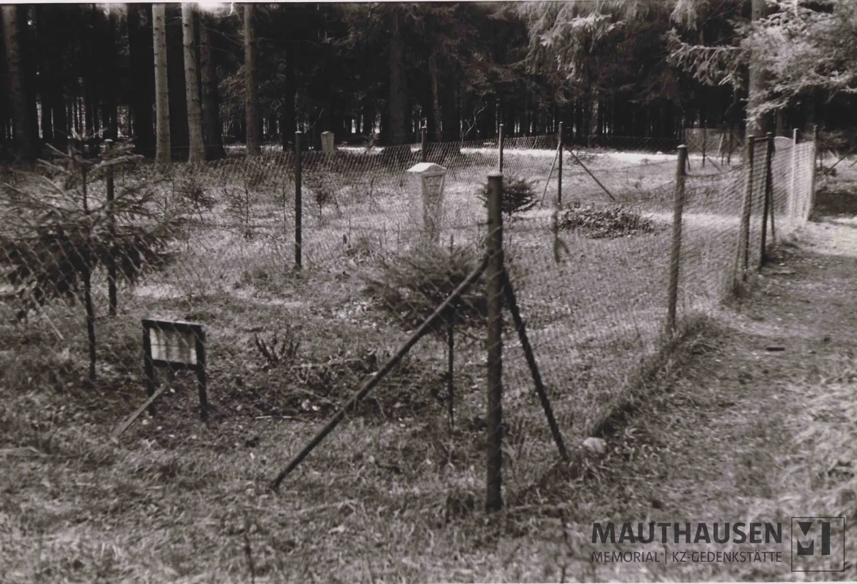 Gedenkstein an einem Massengrab in der Nähe des Areals des ehemaligen KZ-Außenlagers Gunskirchen