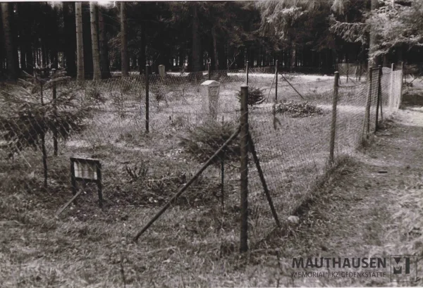 Gedenkstein an einem Massengrab in der Nähe des Areals des ehemaligen KZ-Außenlagers Gunskirchen